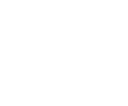 Evolution games at Vulkan Vegas Casino